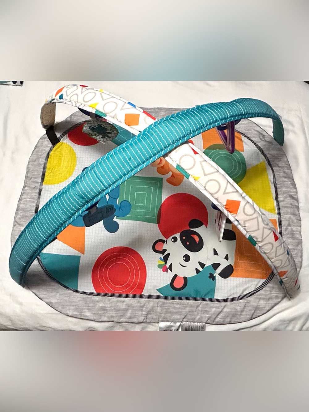 Baby Einstein Discovery Gym Excellent Condition Everything in pictures included!